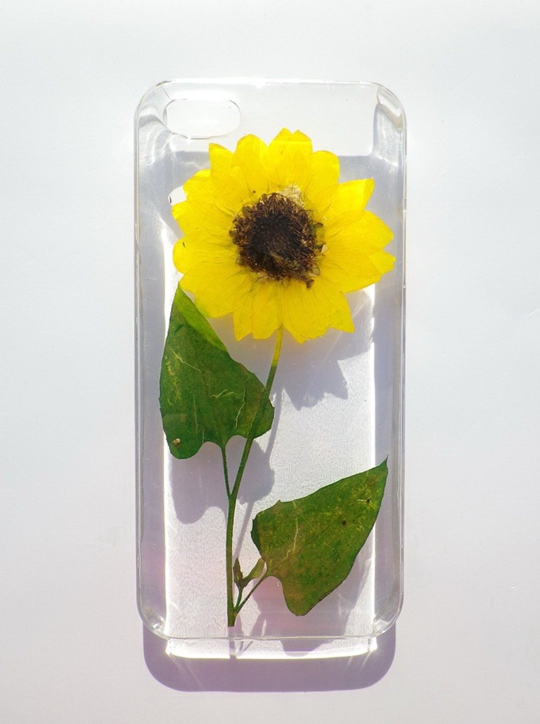 Anny's workshop手作押花手机保护壳，适用于iphone 5/5S及 SE，向日葵 - 手机壳/手机套 - 塑料 黄色