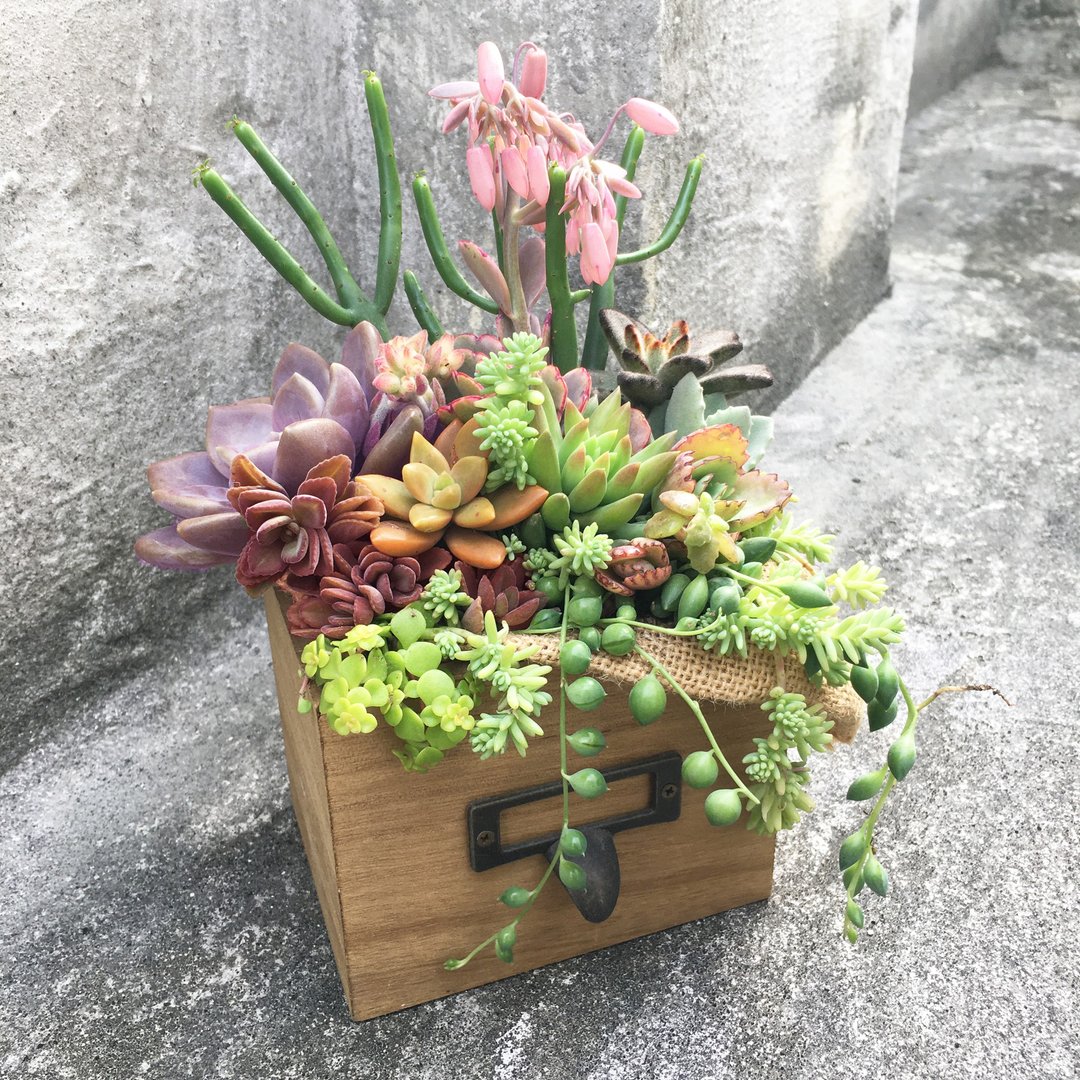 乡村风仿旧木抽屉 ( 小 ) Rustic & vintage wooden drawer (S) - 植栽/盆栽 - 木头 