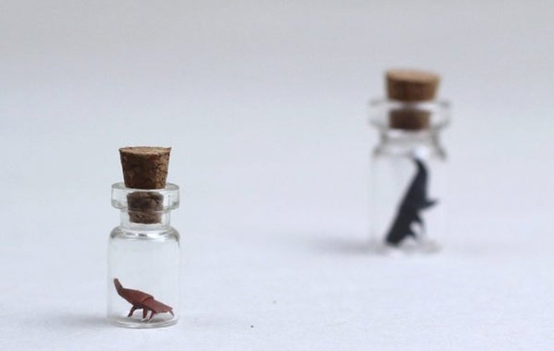 微型昆虫馆 ▦ 吉吉 - 其他 - 纸 白色