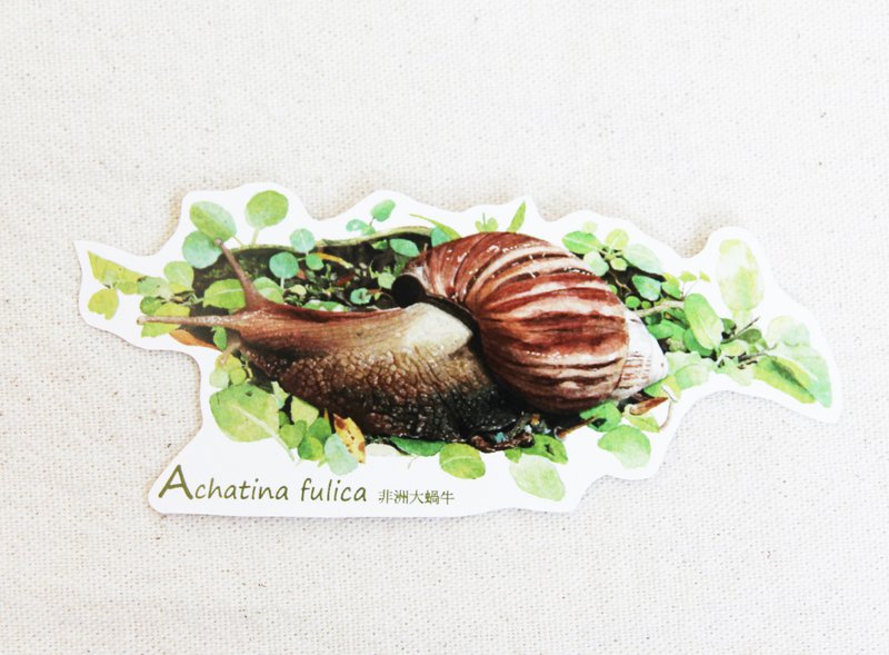 湘-NSJ 手绘非洲大蜗牛贴纸 - 贴纸 - 纸 多色