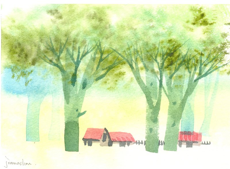 “疗愈系树林系列1-60”水彩手绘限量版明信片/圣诞卡 - 卡片/明信片 - 纸 绿色