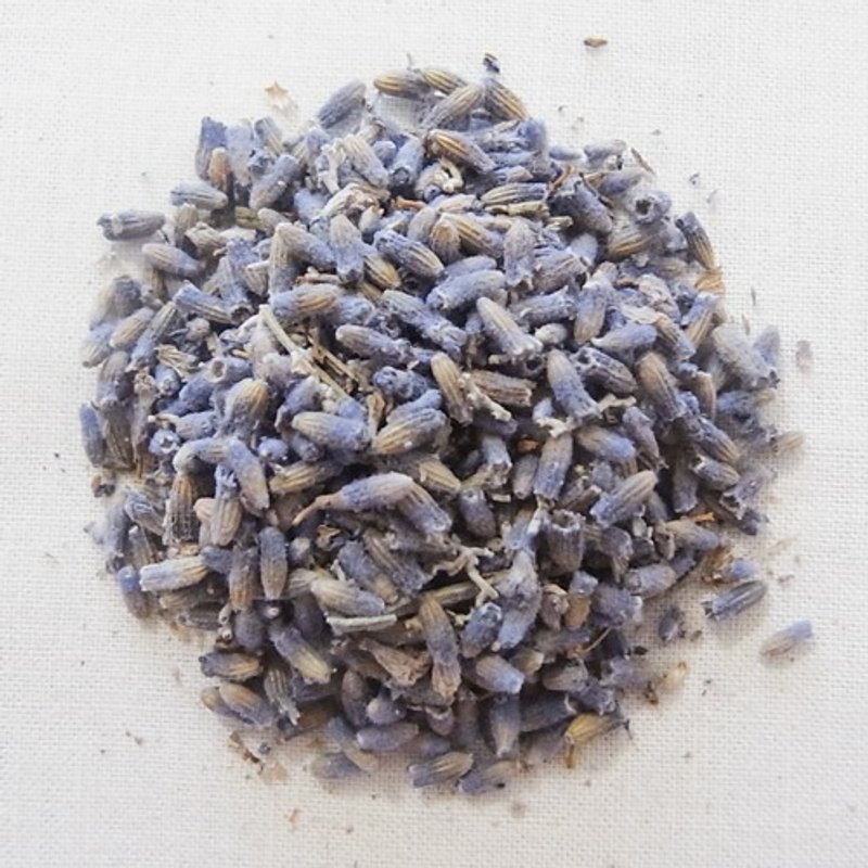 薰衣草 (随身包1入) Lavender - 茶 - 植物．花 蓝色