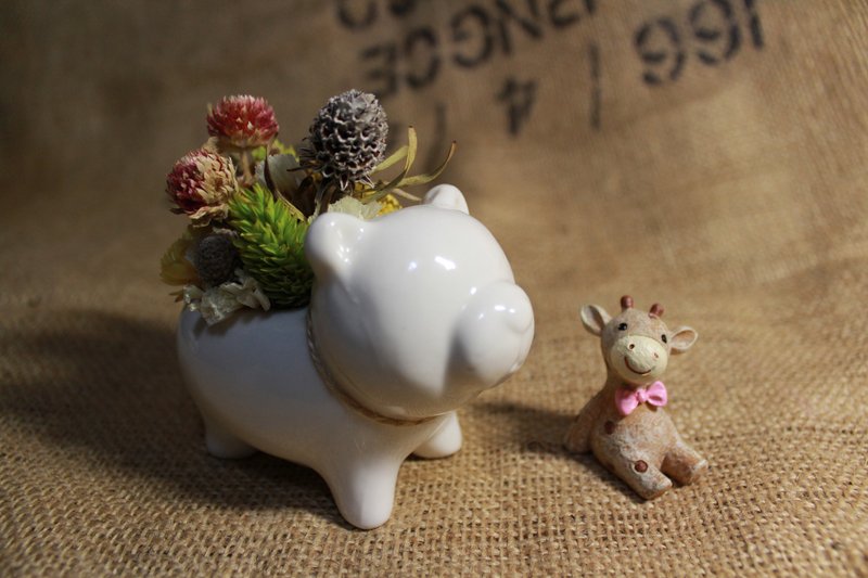 -小花亲亲-疗愈系Bear熊 - 干燥花/捧花 - 其他材质 白色