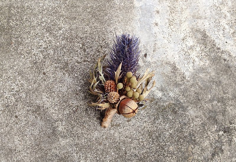 紫蓟花圆果胸针.花礼.花饰.干燥花::可作婚礼小物:: - 植栽/盆栽 - 植物．花 蓝色