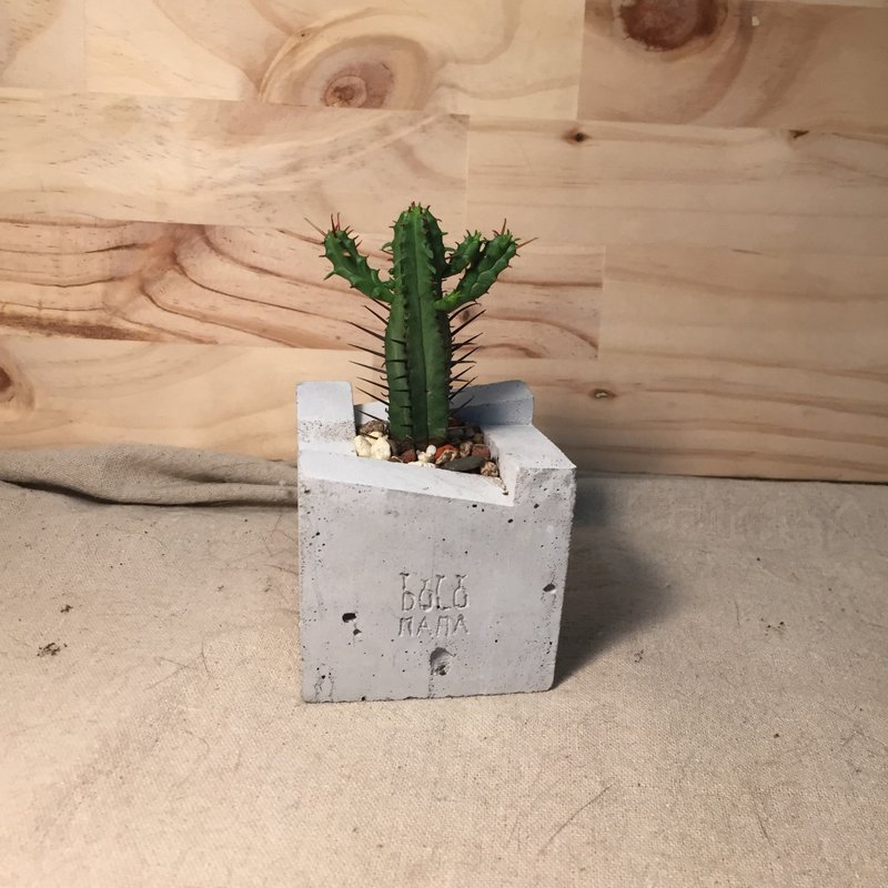DOLOMAMA 《鬼才》虹彩阁-多肉 水泥盆栽组 - 植栽/盆栽 - 水泥 灰色