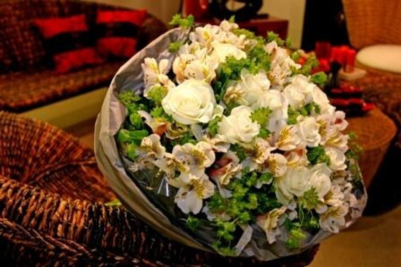 薇多丽雅 - 植栽/盆栽 - 植物．花 白色