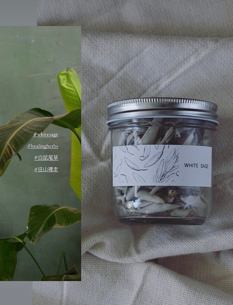 【 空间净化 - 白鼠尾草 】White Sage 空间净化与清理 - 香薰/精油/线香 - 植物．花 白色
