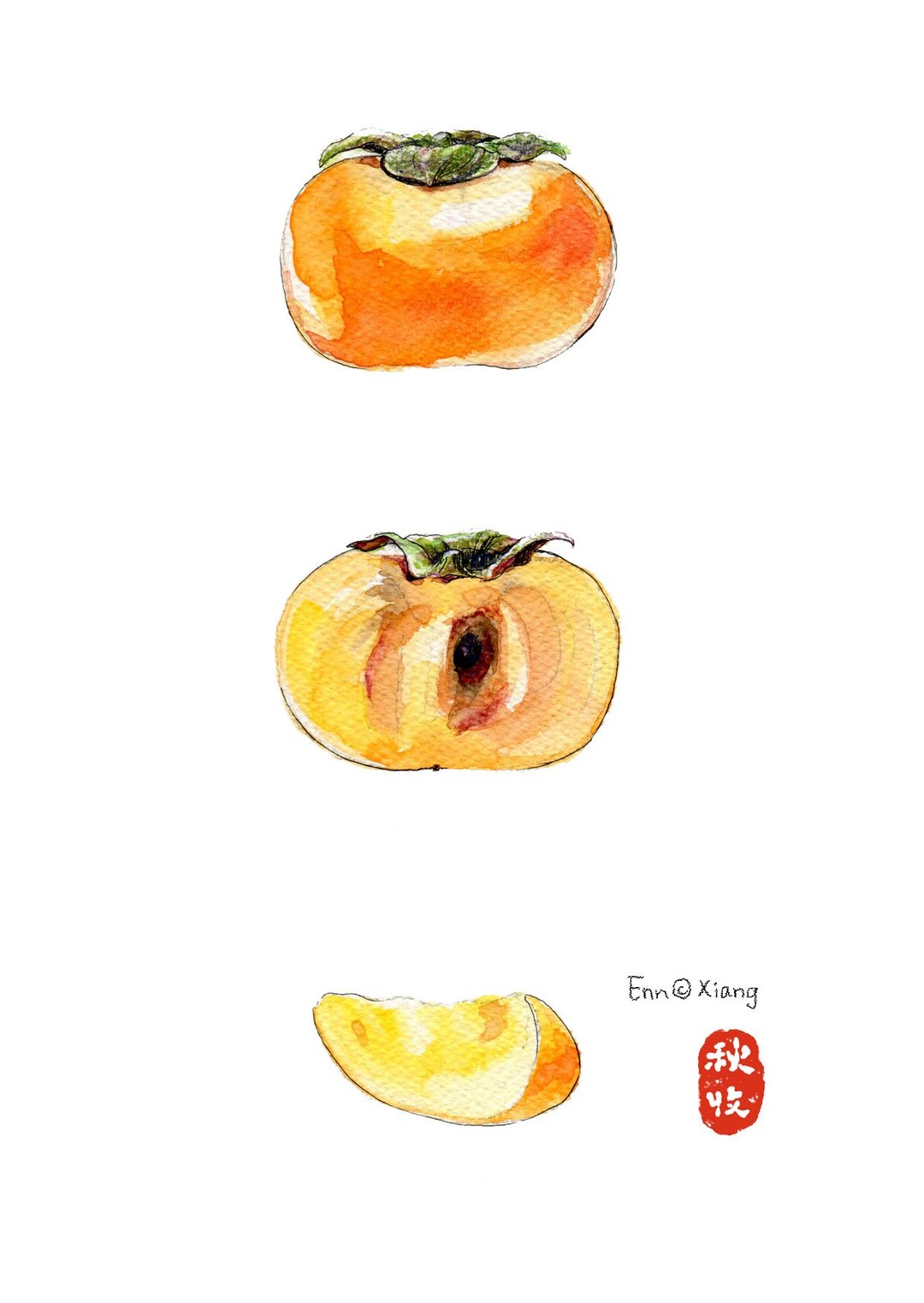 柿子明信片 ◆收藏季节系列 - 卡片/明信片 - 纸 橘色