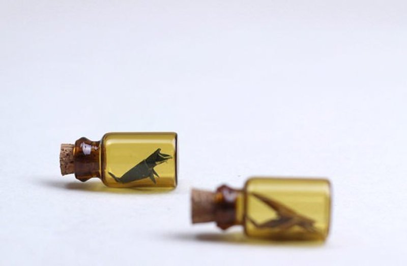 微型昆虫馆 ▦ 青仔 - 其他 - 纸 咖啡色