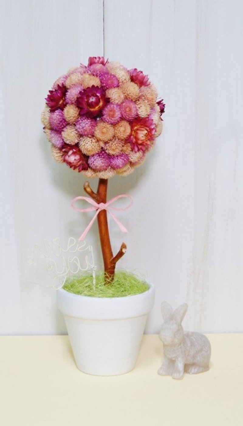 自然系干燥花爱情树 - 植栽/盆栽 - 植物．花 粉红色