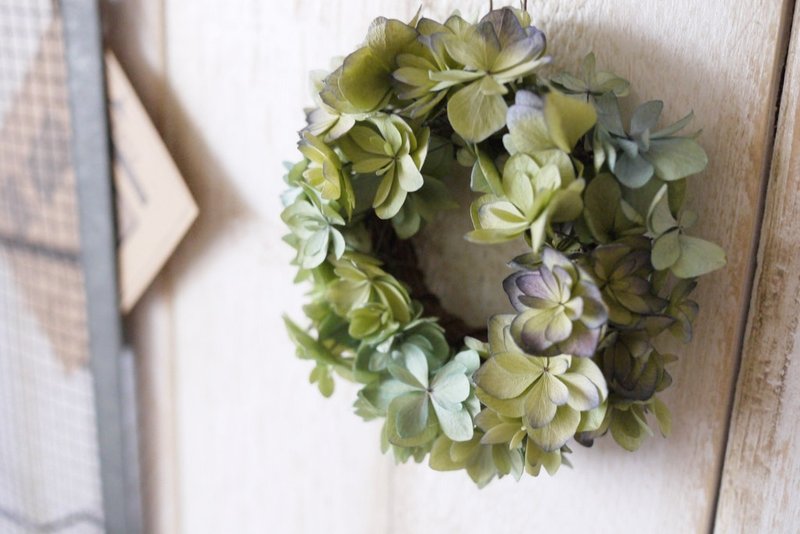 杂集手作zakka乡村风杂货．纽西兰重瓣绿绣球．干燥花花圈 (绿色系/迷你款) - 摆饰 - 植物．花 绿色