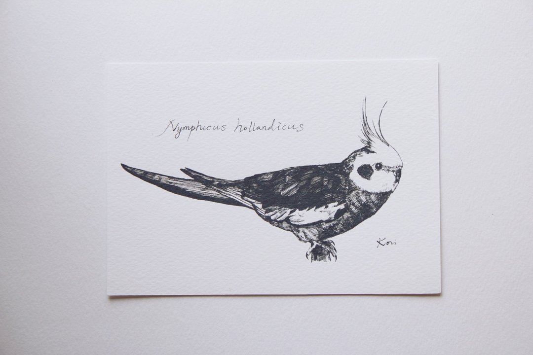 Birdink｜ 明信片 < 玄凤 > 站栖木 - 卡片/明信片 - 纸 