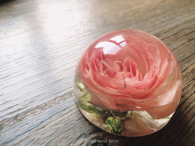 【立体花摆设系列】真花/立体干燥花/桌上小摆设/纸镇/半球摆设/玫瑰花 - 植栽/盆栽 - 其他材质 