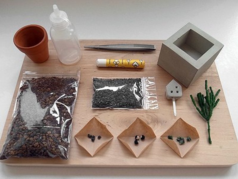 【园艺大师养成组】 - 植栽/盆栽 - 其他材质 