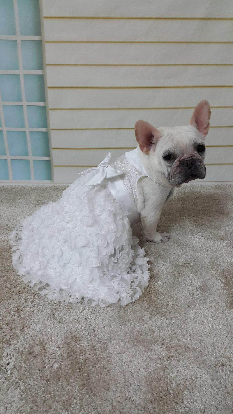 <梦幻手工婚纱>典雅白M号 (气势长版) - 衣/帽 - 其他材质 