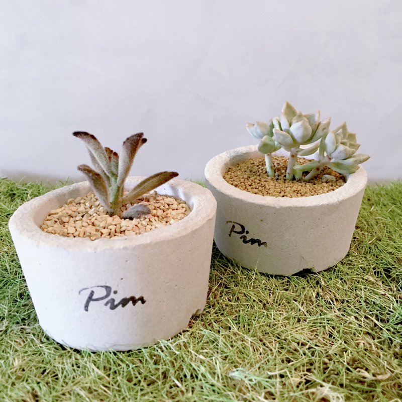 [动植物]手工水泥盆。陆号[不含植] - 植栽/盆栽 - 水泥 灰色