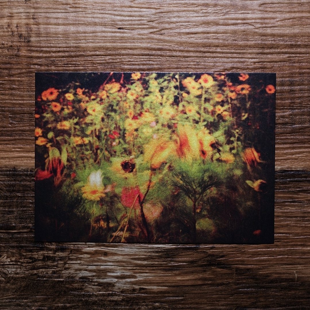 【照片明信片  #09】Photo Postcard | TH1RT3ENDREAMS - 摄影集 - 纸 多色