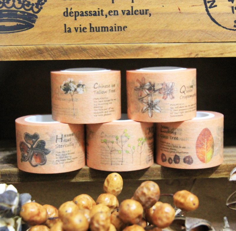 湘 手绘种子系列纸胶带 第一回 - 纸胶带 - 纸 多色