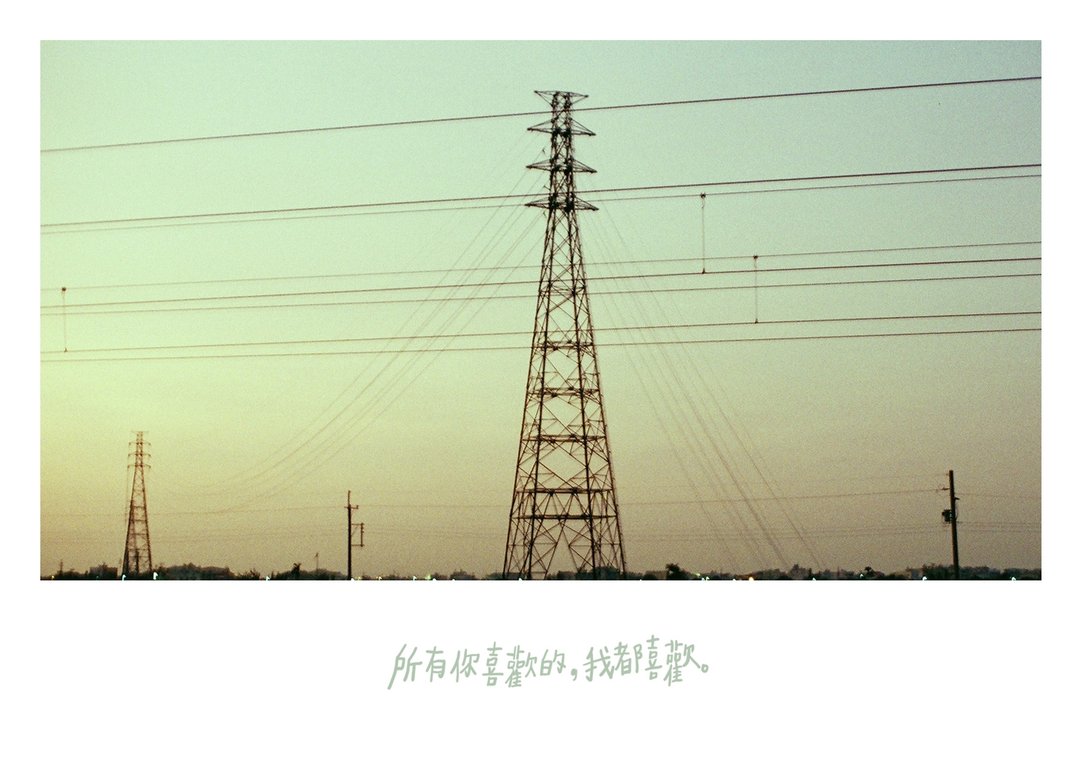 所有你喜欢的 /Magai's postcard - 卡片/明信片 - 纸 绿色