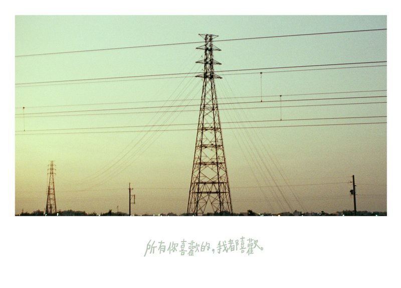 所有你喜欢的 /Magai's postcard - 卡片/明信片 - 纸 绿色