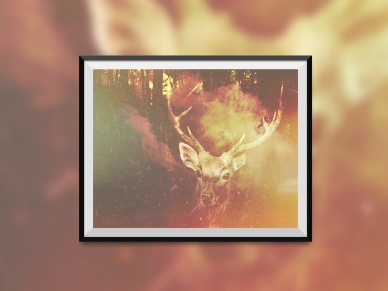 【照片输出】♈ | A4 Photo Print 顶级半光面相纸 | TH1RT3ENDREAMS - 摄影集 - 纸 黄色