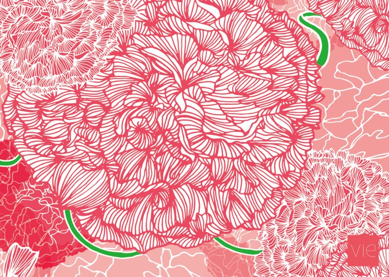 【明信片】康乃馨，亲爱的妈咪 - 卡片/明信片 - 纸 红色