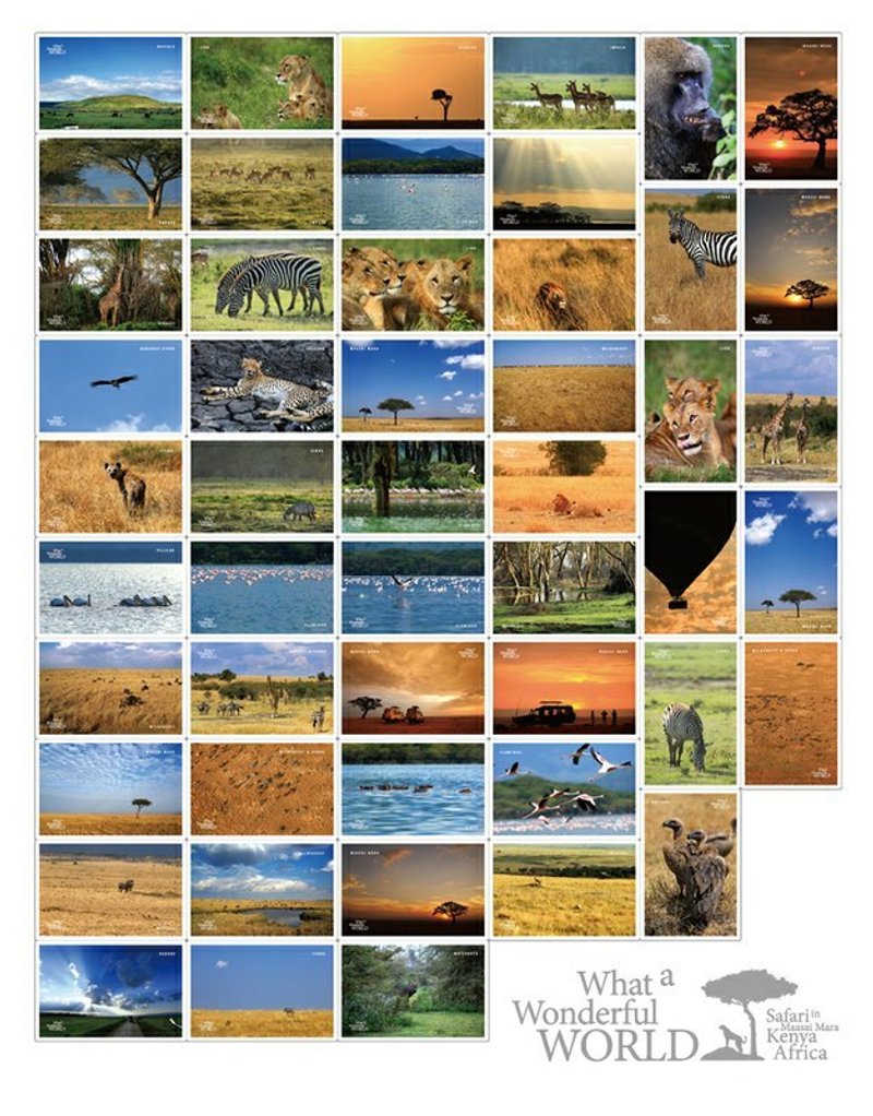 【eyeDesign 看见设计】frog.POSTCARD美好世界系列-全系列一套 - 卡片/明信片 - 纸 多色