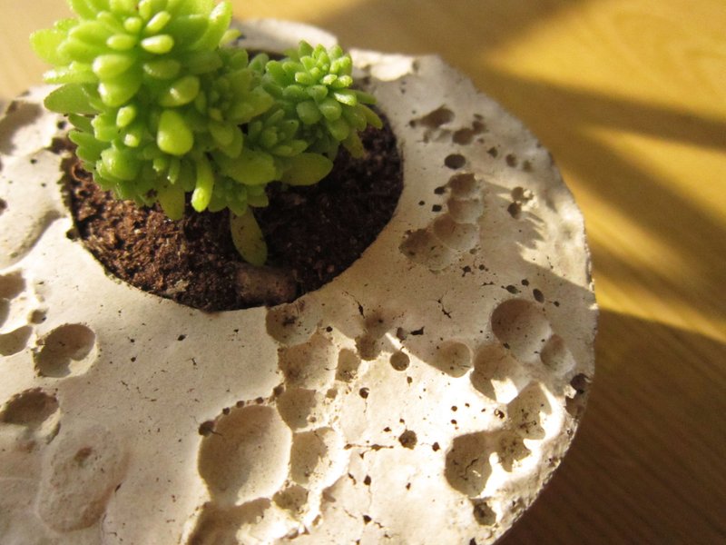 //在月球表面// 多肉水泥植栽 - 植栽/盆栽 - 水泥 灰色