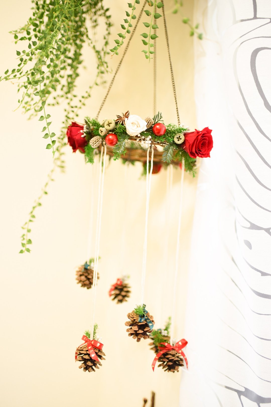 Christmas chandelier│Angel Halo│天使之环。圣诞节立体恒星花圈 - 植栽/盆栽 - 植物．花 红色