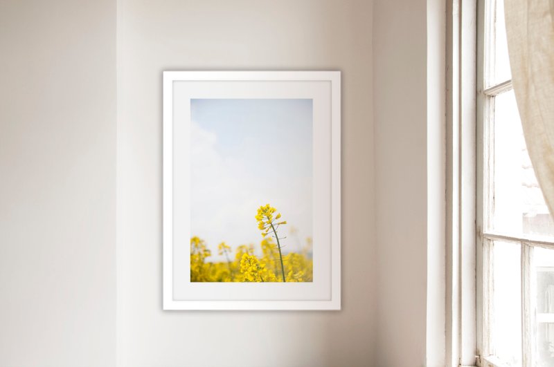 摄影_油菜花田III  (不含框/可加价购框) - 海报/装饰画/版画 - 纸 黄色