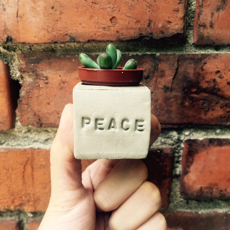 Peace!!磁铁盆栽 - 植栽/盆栽 - 水泥 灰色