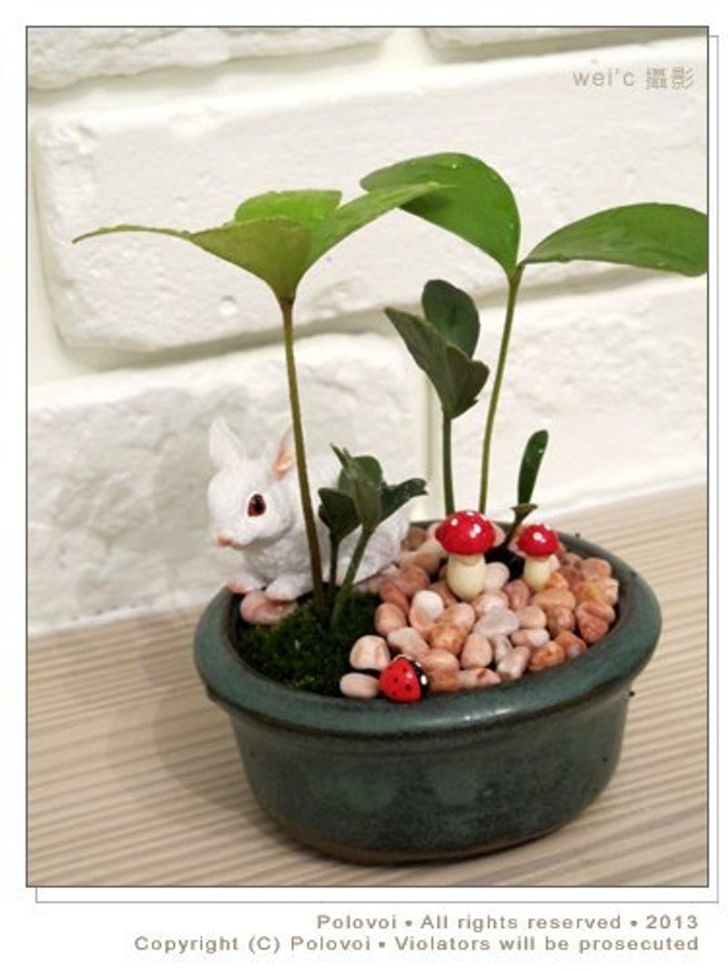 【纯手作】爱丽丝梦游绿境系列- 初章 - 植栽/盆栽 - 其他材质 绿色