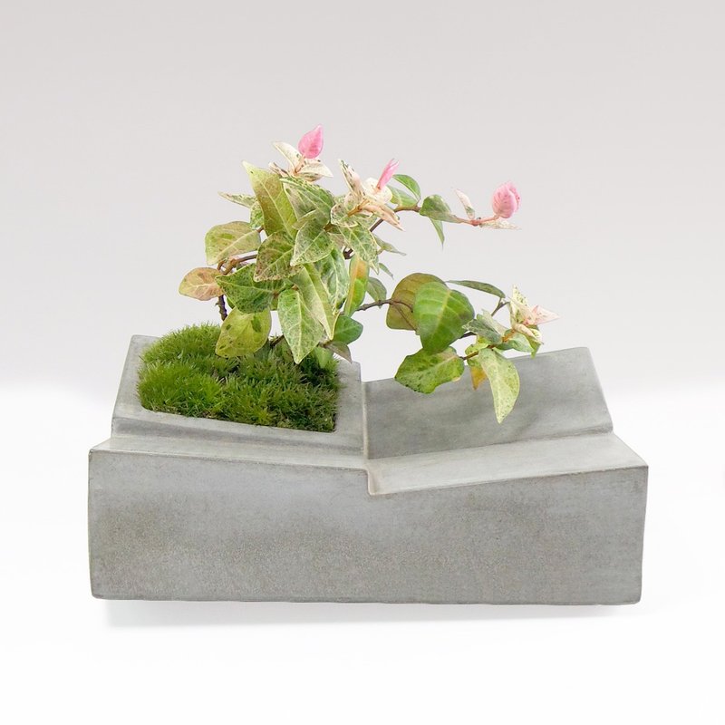 Greenology 水泥花器 - 植栽/盆栽 - 水泥 灰色