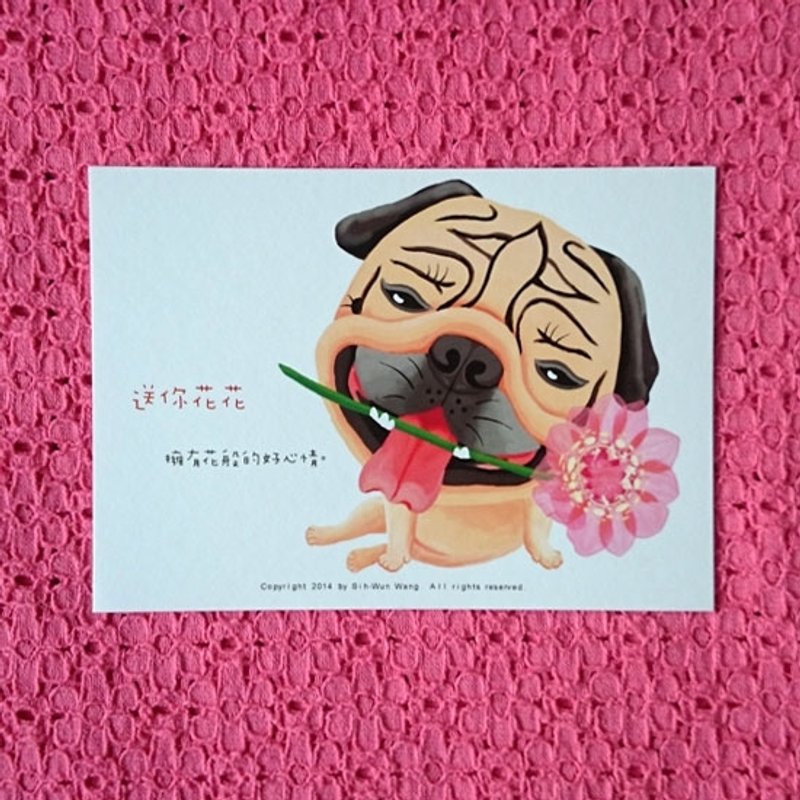 送你花花 巴哥明信片 - 卡片/明信片 - 纸 白色