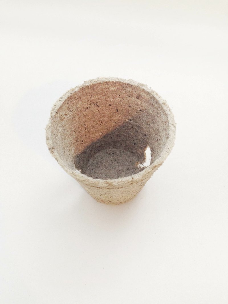 飞飞盆100%再生纸ECO盆JIFFY POTS -初阶段育苗后能自然瓦解天然2.5寸盆 - 植栽/盆栽 - 植物．花 金色