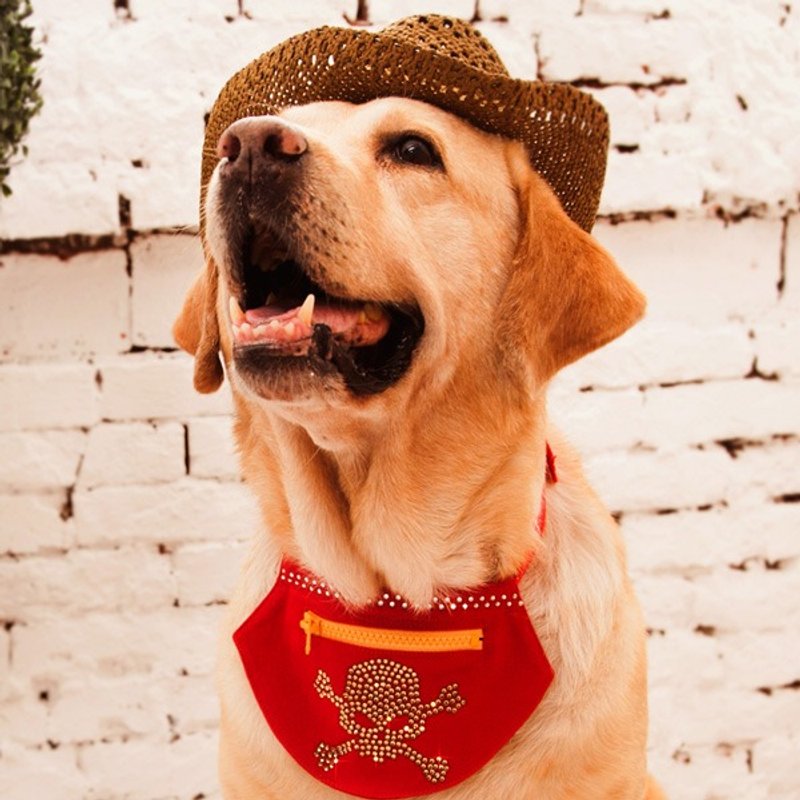 【GFSD】水钻精品-宠物领巾收纳袋 - 其他 - 其他材质 红色