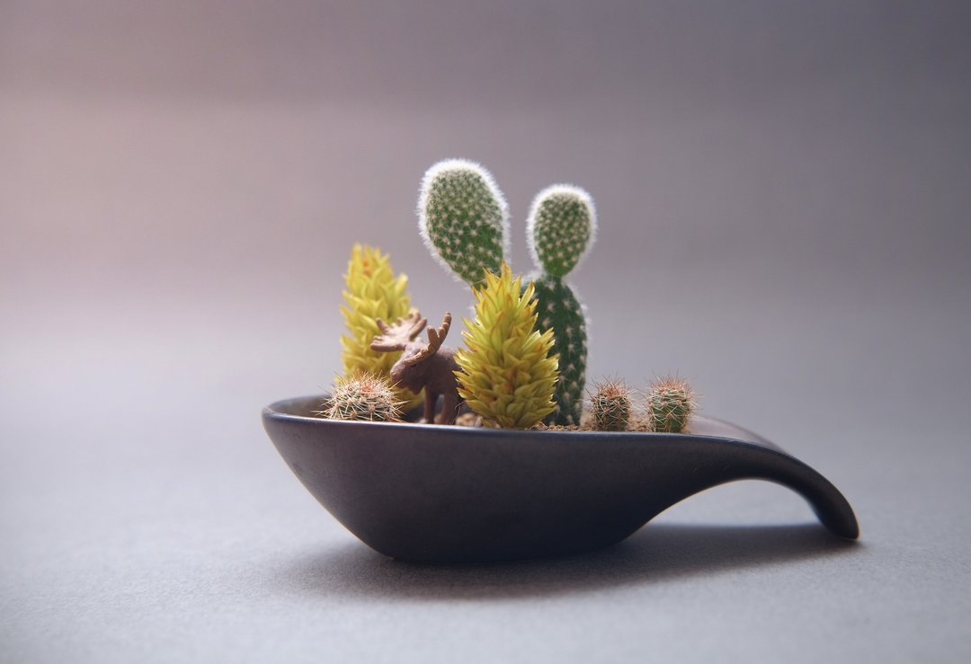 〈深夜里的微光森林〉多肉植物 鹿 瓷器 汤匙 盆栽 圣诞 平安夜  <Night in the forest> Succulents - 植栽/盆栽 - 瓷 黑色