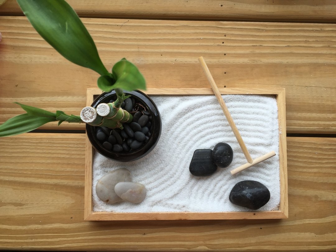 ［纯自然］ diy组 日式 禅庭 沙盘 禅 枯山水 竹 盆栽 植物 送礼 疗愈 小物 zen potted - 植栽 - 植物．花 灰色