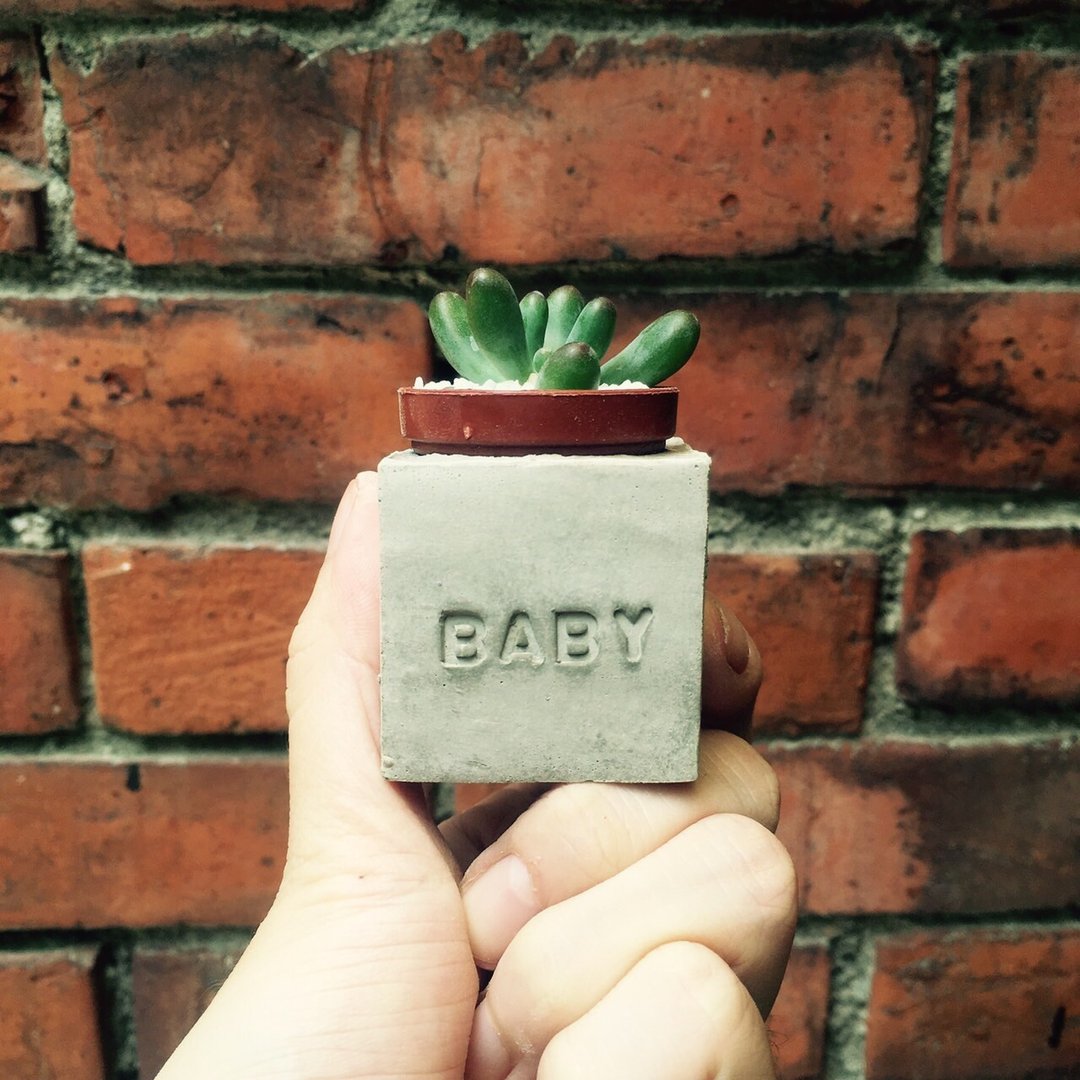 Baby!!磁铁盆栽 - 植栽/盆栽 - 水泥 灰色