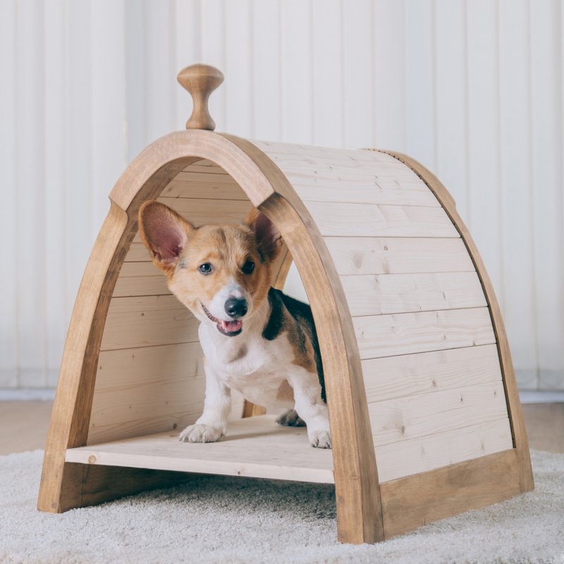 SADDLE屋 - 其他 - 木头 咖啡色