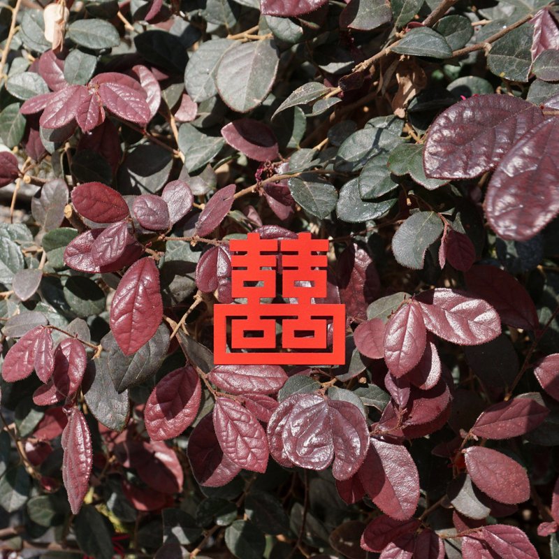 麦麦大节庆-双喜临门 纸雕书签 | 文化节庆 开运祈福 文具送礼 - 书签 - 纸 红色