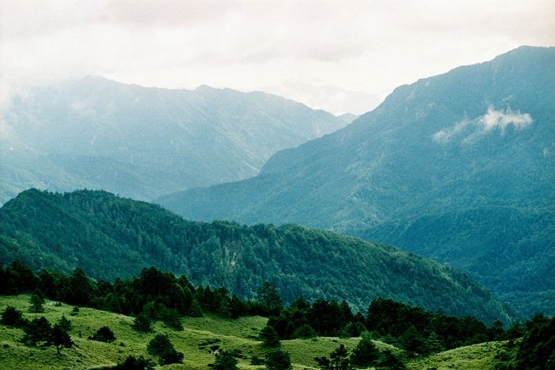 摄影 万用 明信片 - Travel系列 - 合欢山 - 卡片/明信片 - 纸 绿色