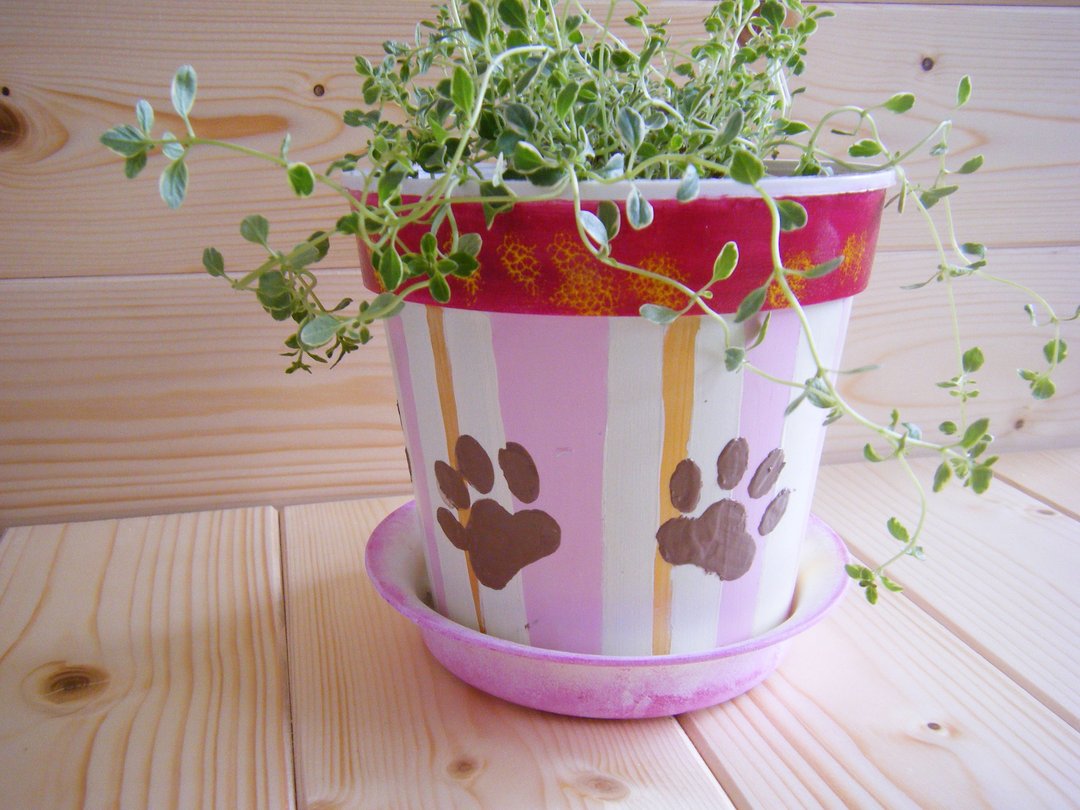 猫掌/花器盆栽 - 植栽/盆栽 - 压克力 粉红色
