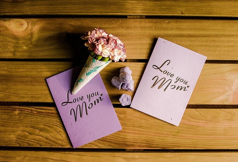 母亲节 Love you, Mom! 康乃馨种子球组与种子卡片合购区 - 植栽/盆栽 - 植物．花 紫色