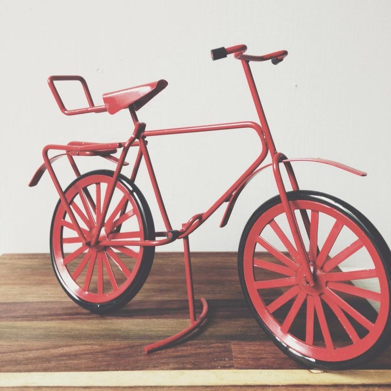 铁马年代-金属眼镜架 - 其他 - 其他金属 红色