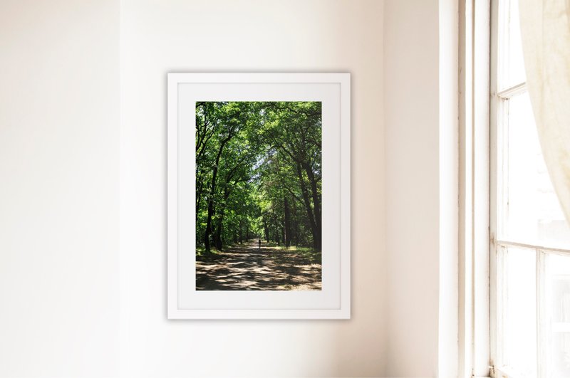 摄影    柏林 森林里的脚踏车之旅 (不含框/可加价购框) - 海报/装饰画/版画 - 纸 绿色