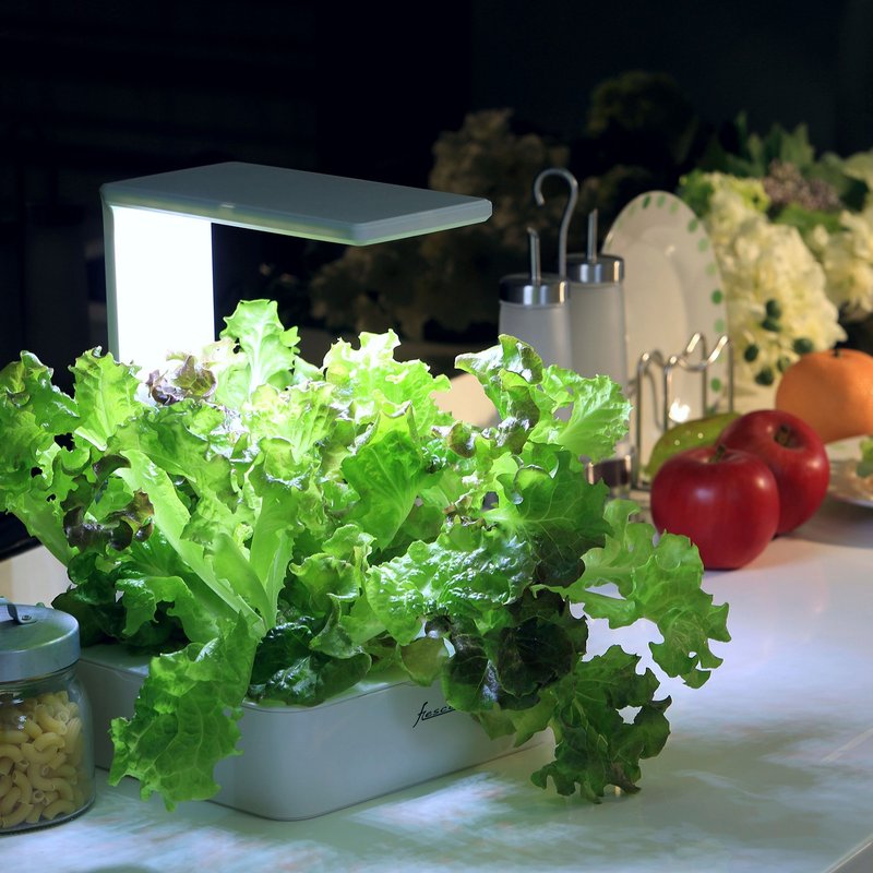 Green Box 培育机 种子组合 - B - 植栽/盆栽 - 植物．花 多色