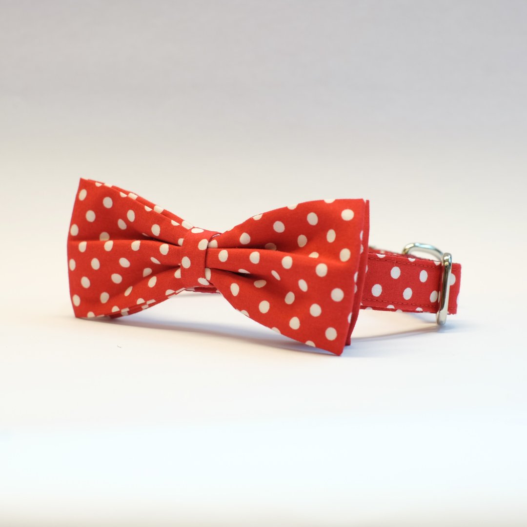 Red / White Polkadots Bowtie Collar - 项圈/牵绳 - 其他材质 红色