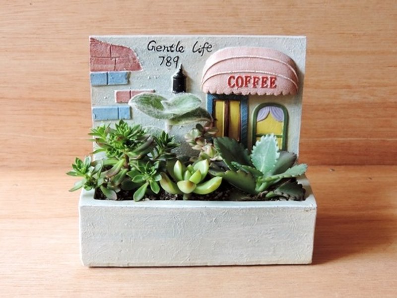 疗育系 · 多肉植物小花园 - 植栽/盆栽 - 植物．花 