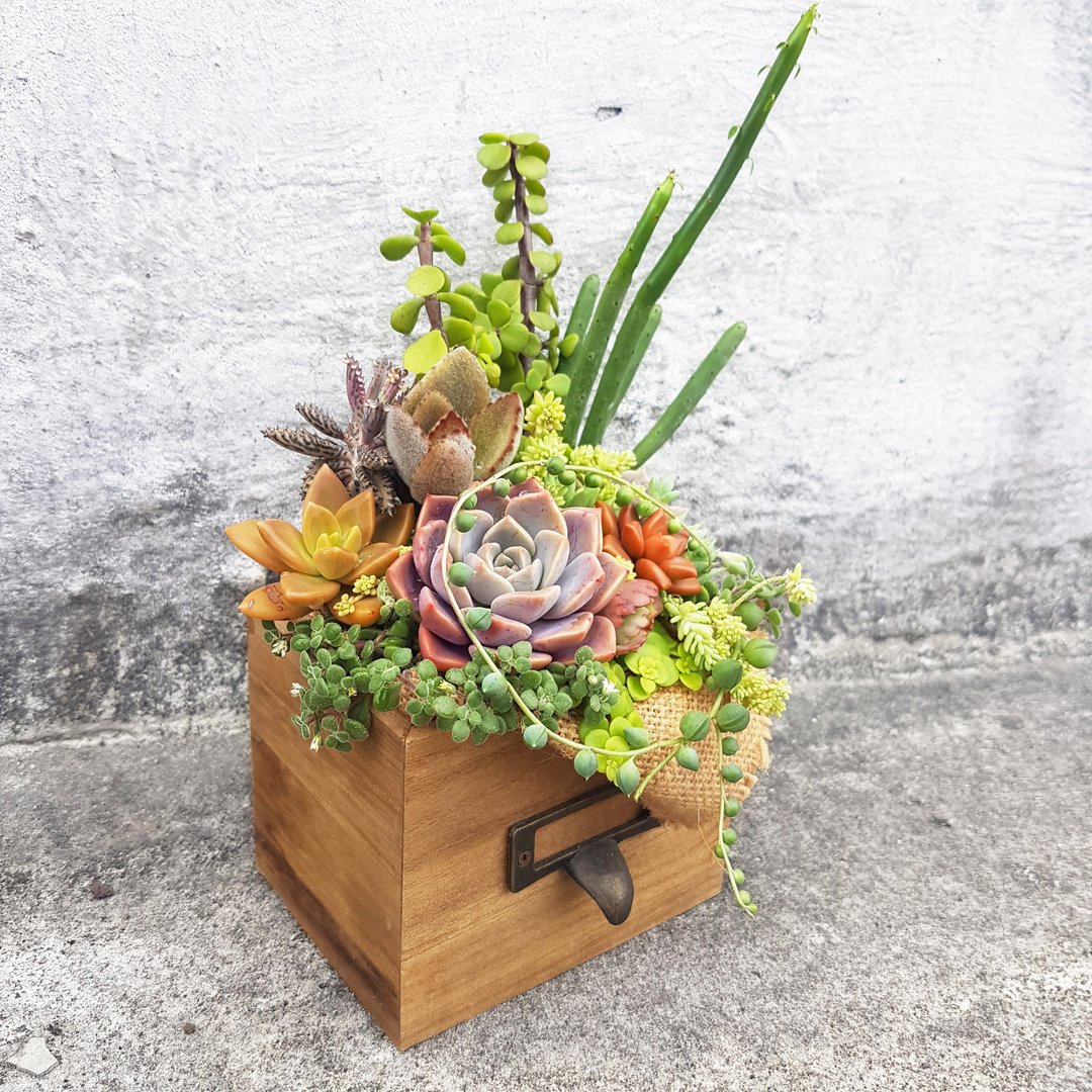 乡村风仿旧木抽屉 ( 大 ) Rustic & vintage wooden drawer ( L ) - 植栽/盆栽 - 木头 咖啡色